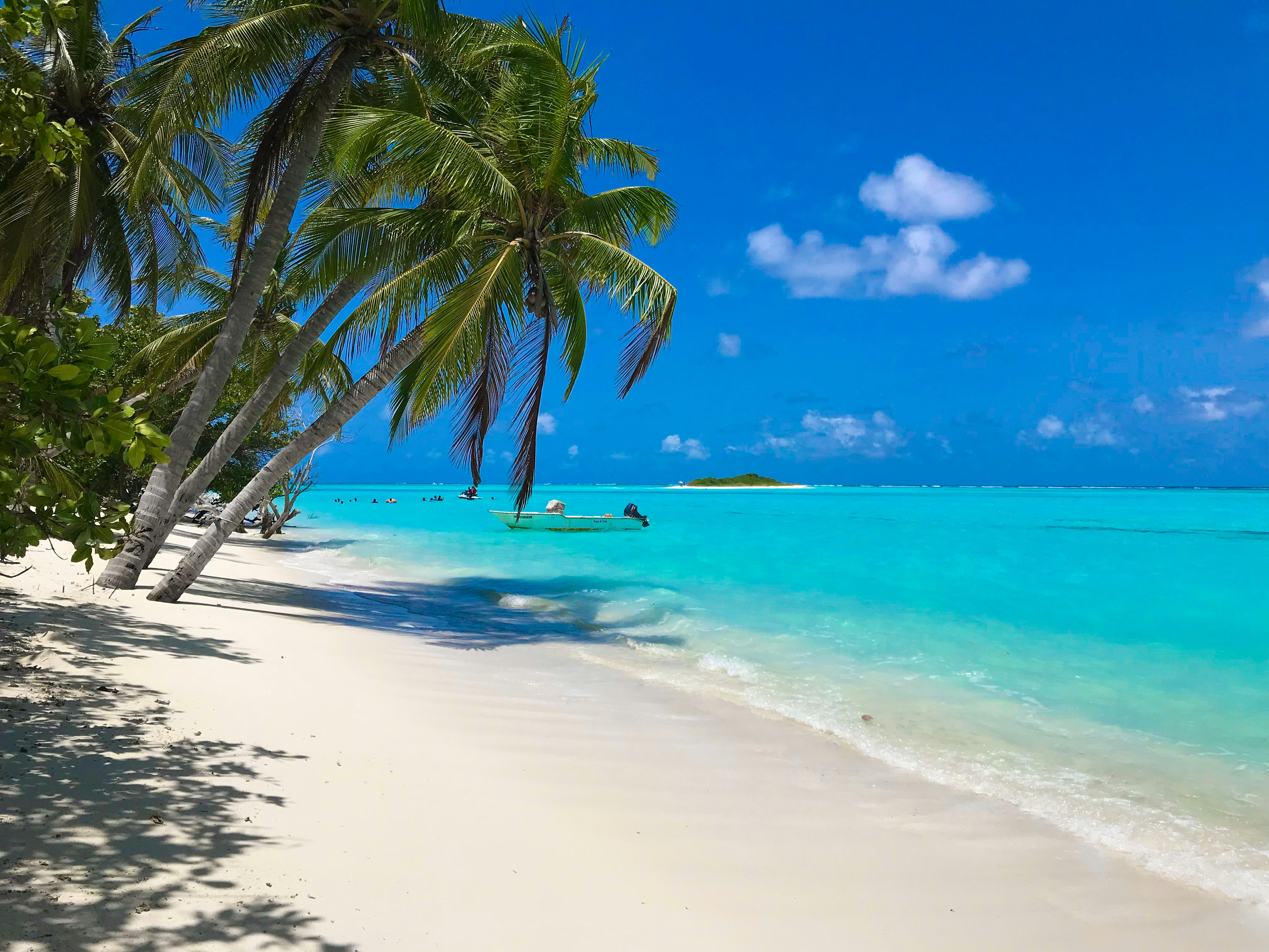 750+ Tropical Beach Pictures | Download ...